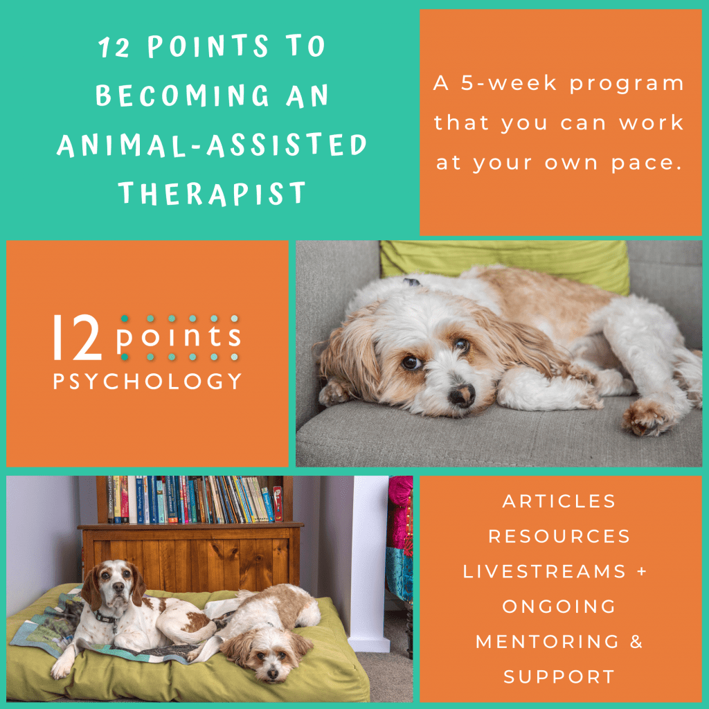 An Introduction to AnimalAssisted Therapy 12 Points Psychology