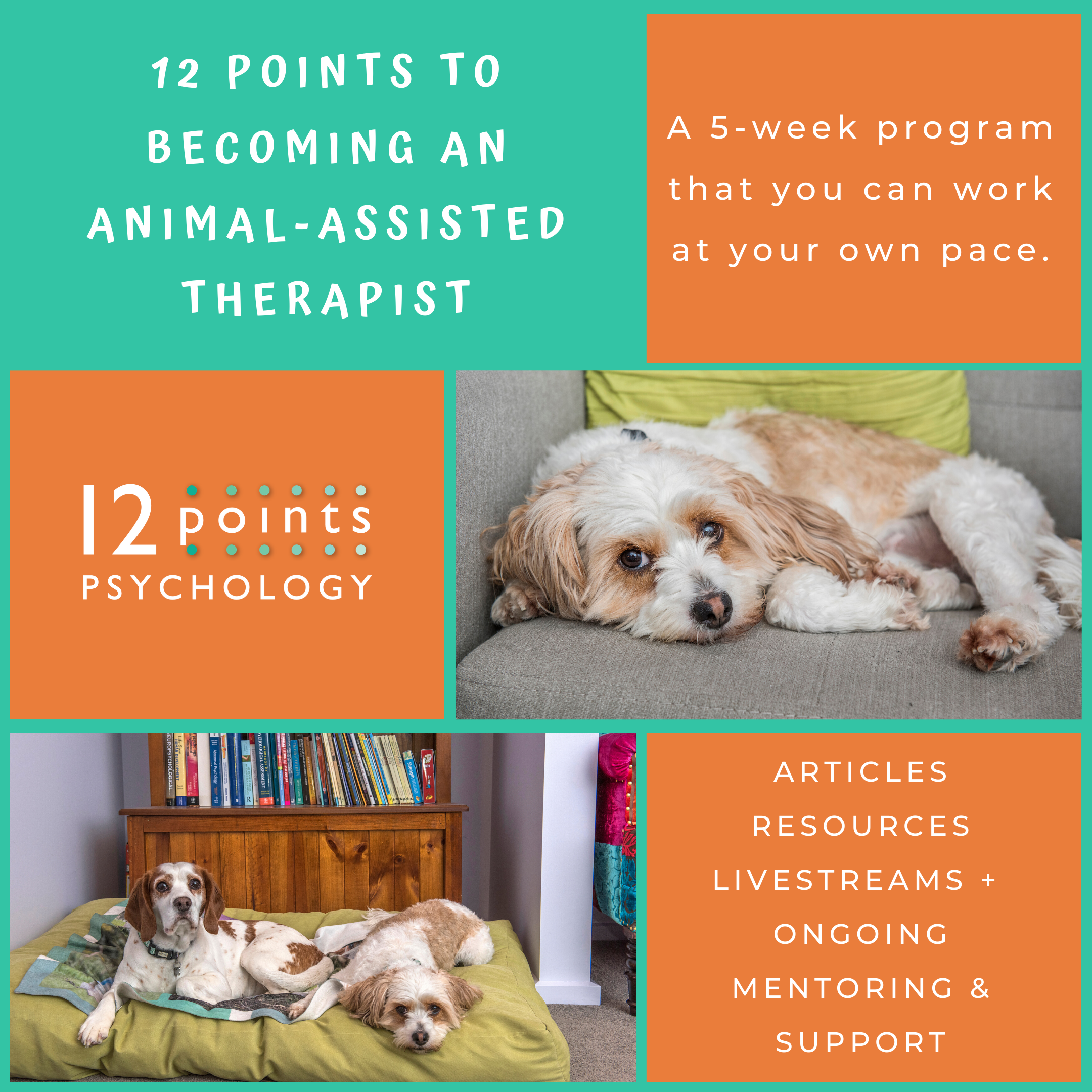 An Introduction to Animal-Assisted Therapy - 12 Points Psychology