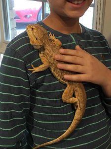 Lizards get close in therapy